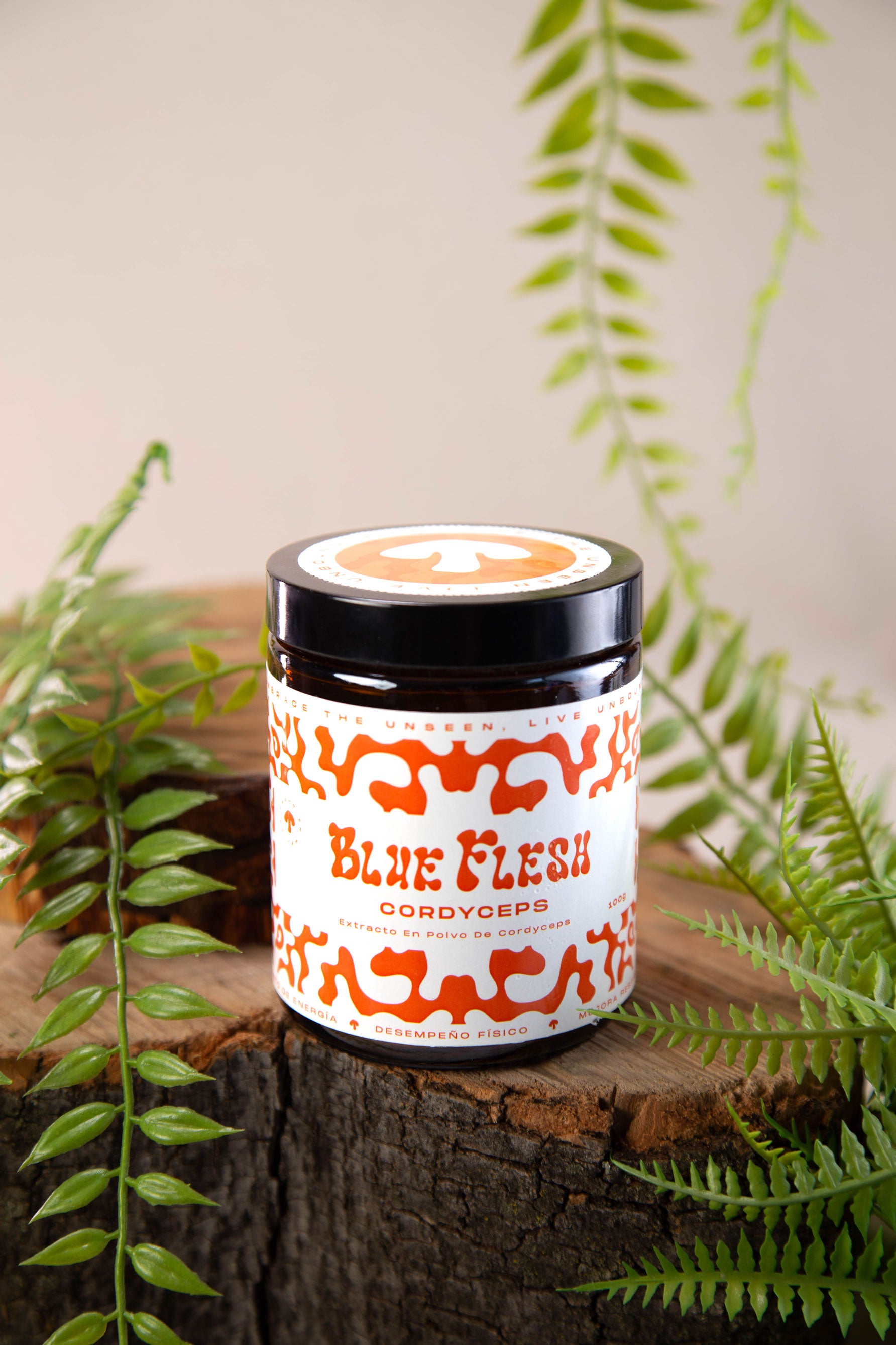 Extracto Cordyceps