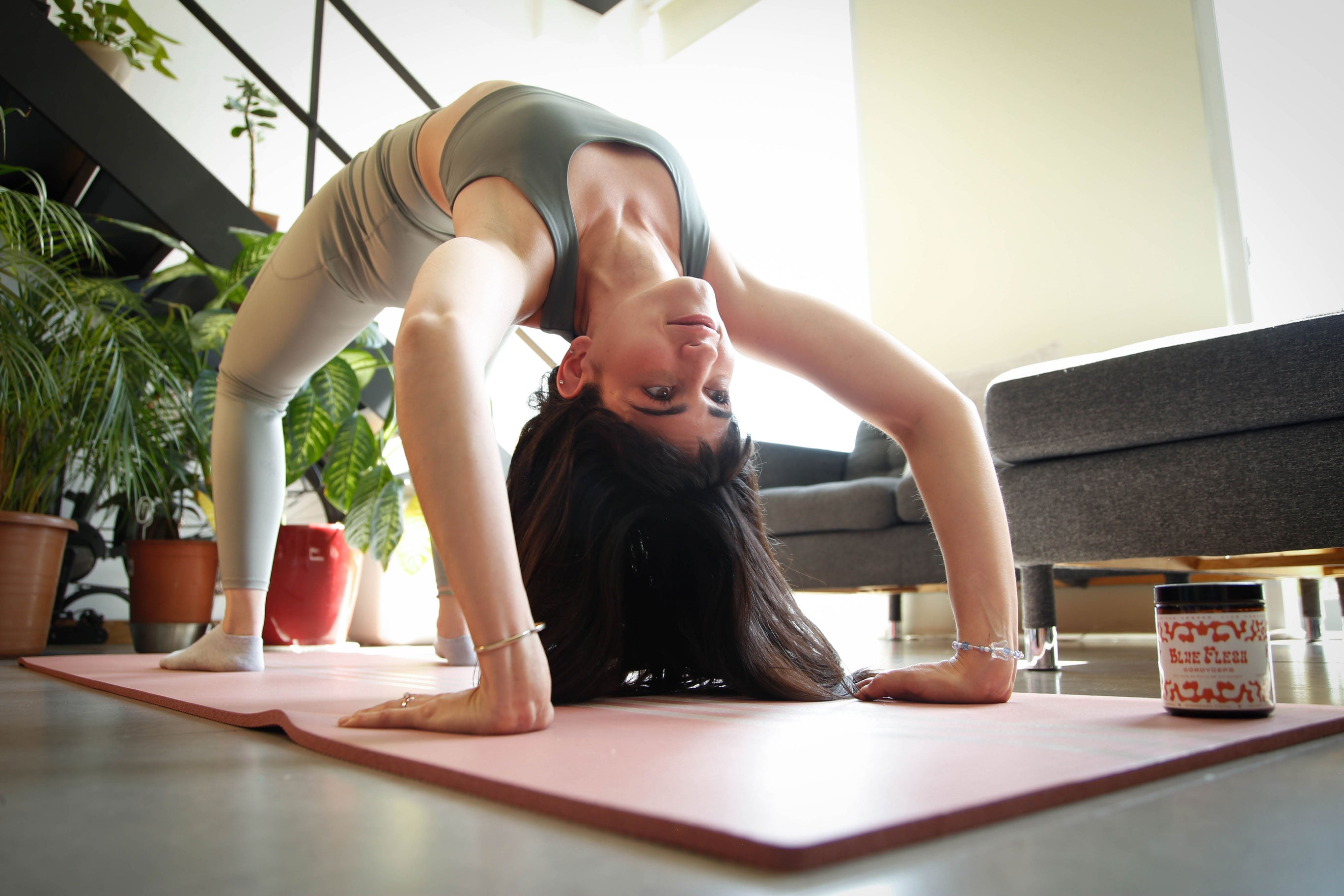 Potencial de los hongos adaptógenos para fortalecer el sistema inmunológico