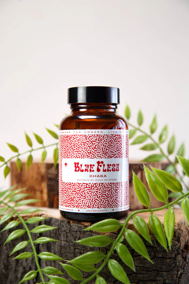 Extracto Chaga