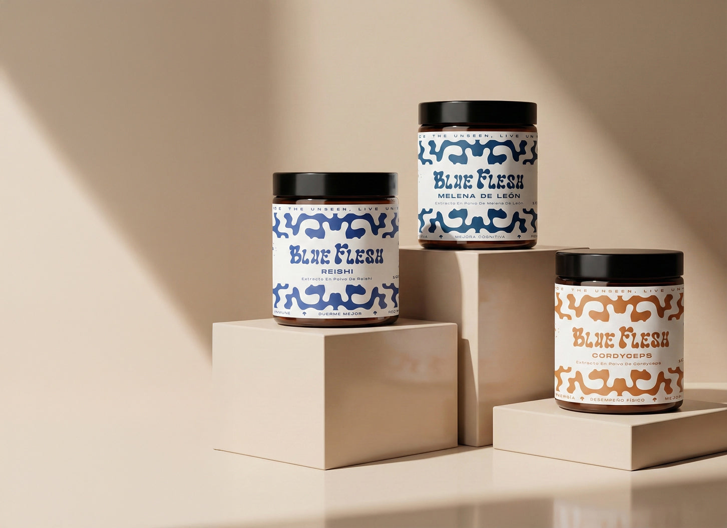 Tu Ritual Nuevo <br>Comienza Aquí