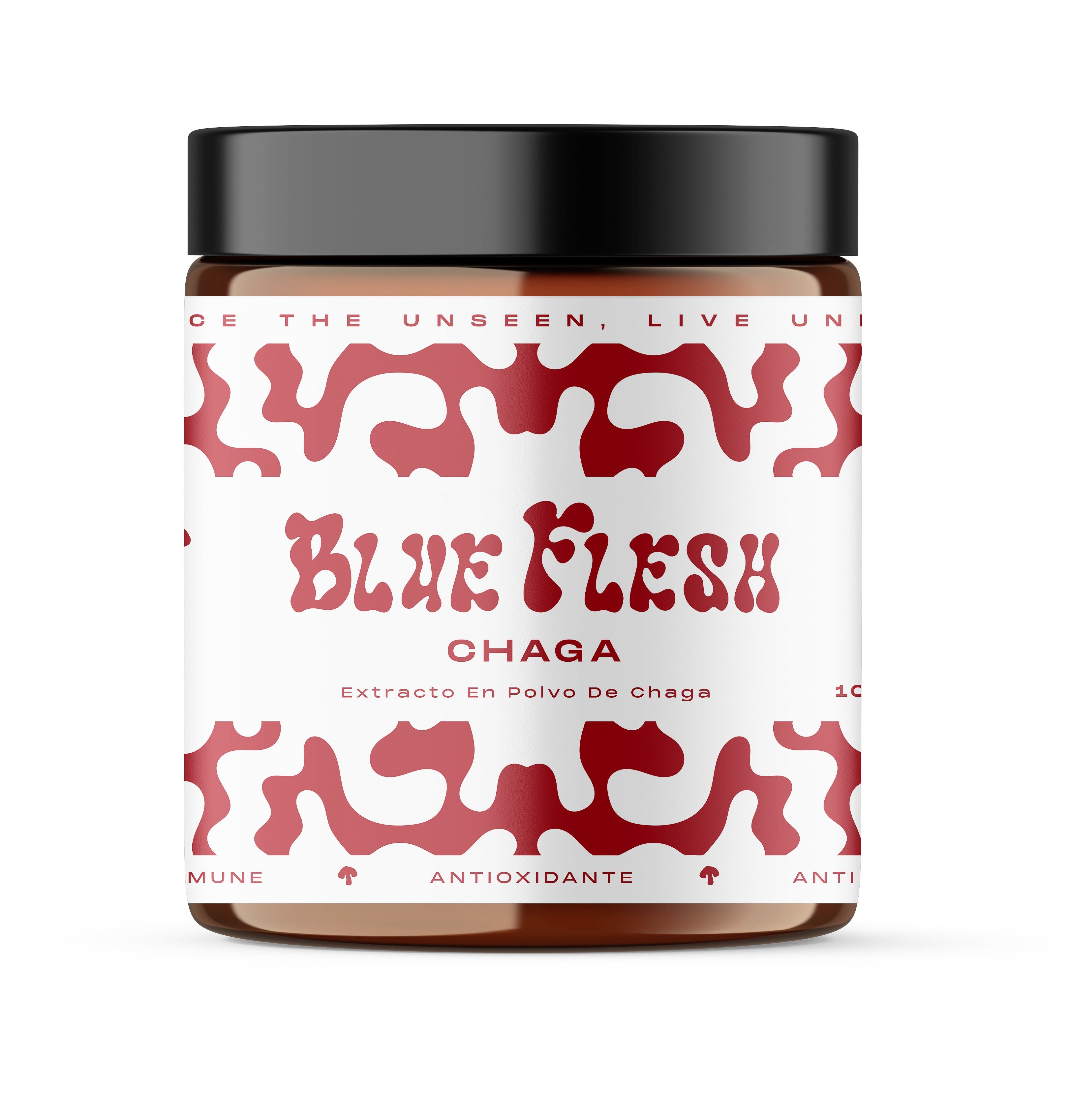 Hongo Chaga - Blue Flesh