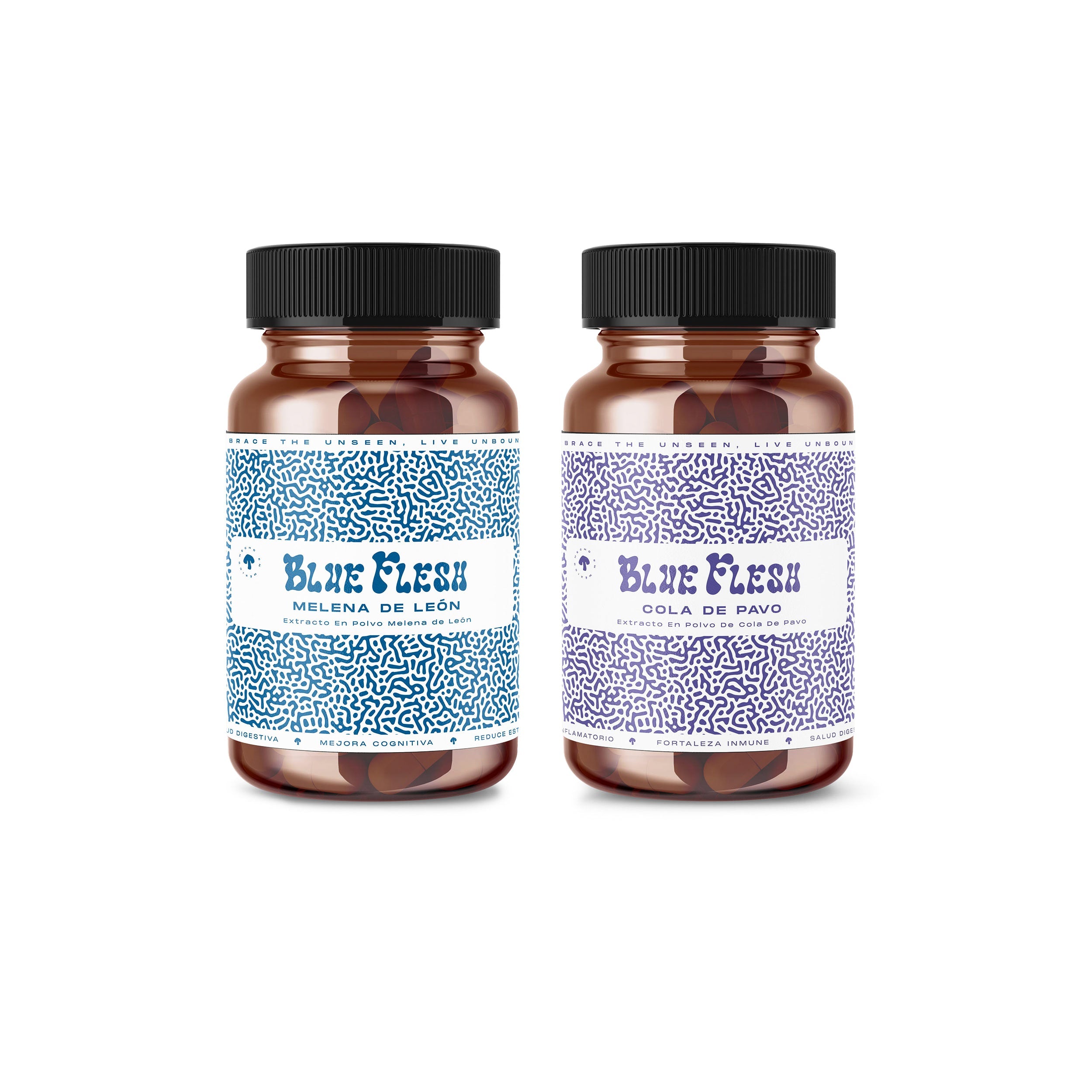 Healthy Tummy Capsule Kit - Blue Flesh