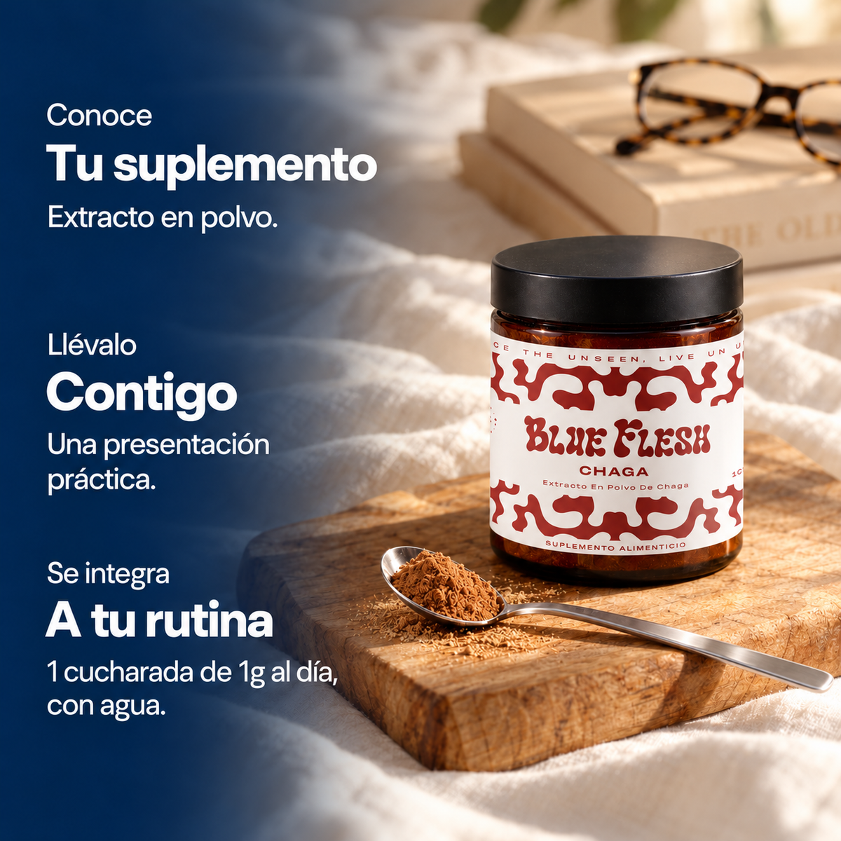 Chaga: extracto en polvo 100 g o 60 cápsulas