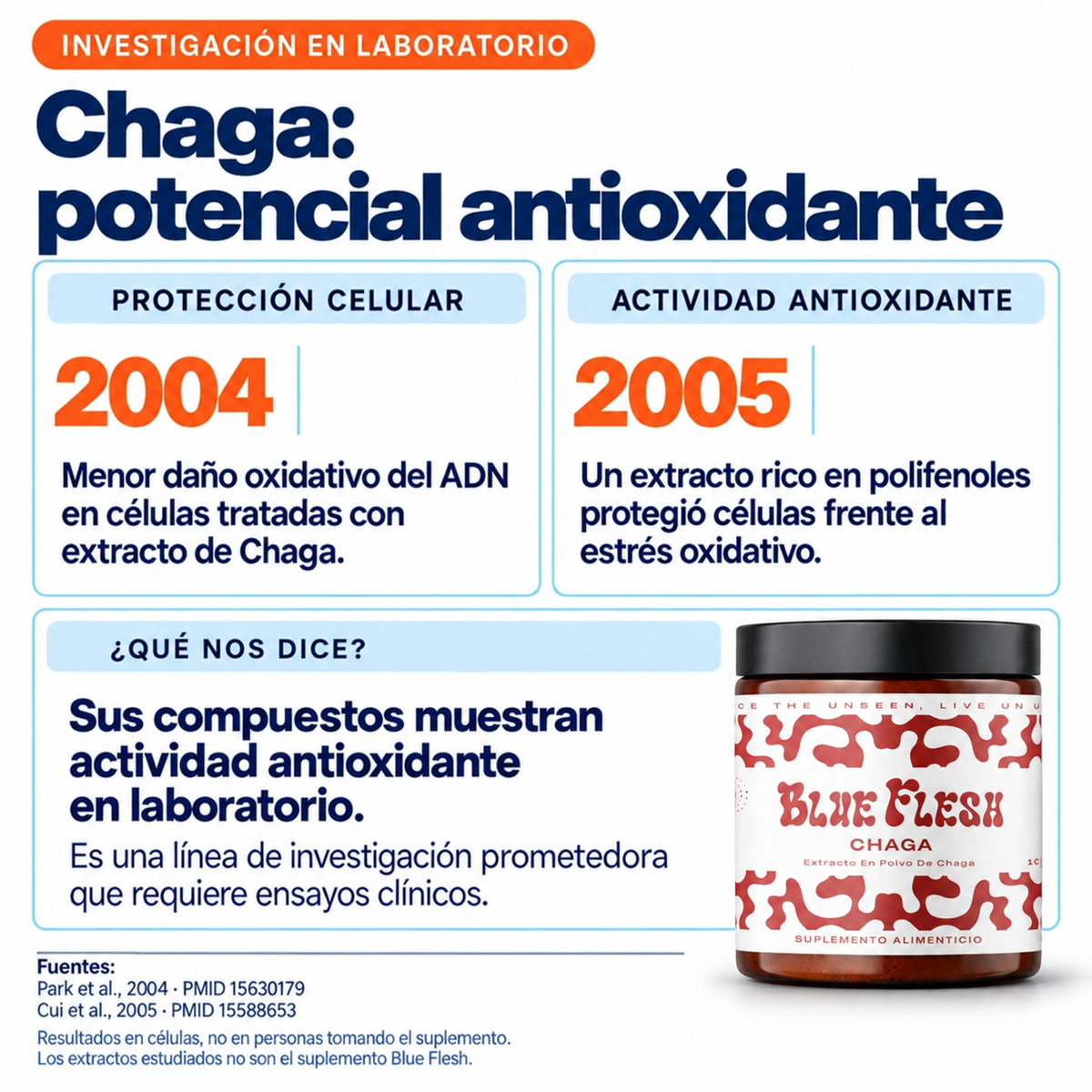 Chaga: extracto en polvo 100 g o 60 cápsulas