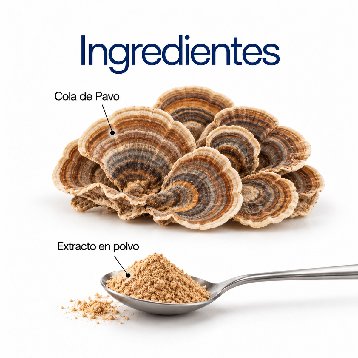 Cola de Pavo: extracto en polvo 100 g o 60 cápsulas