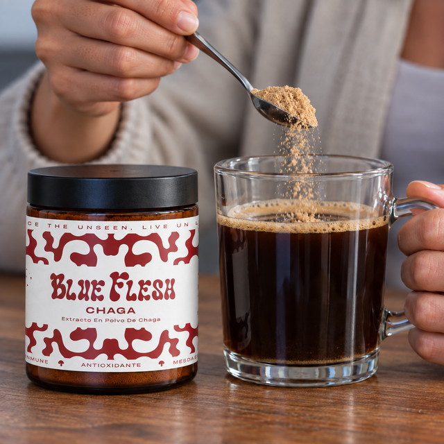 Añade a tu bebida: Chaga: extracto en polvo 100 g o 60 cápsulas Blue Flesh en polvo