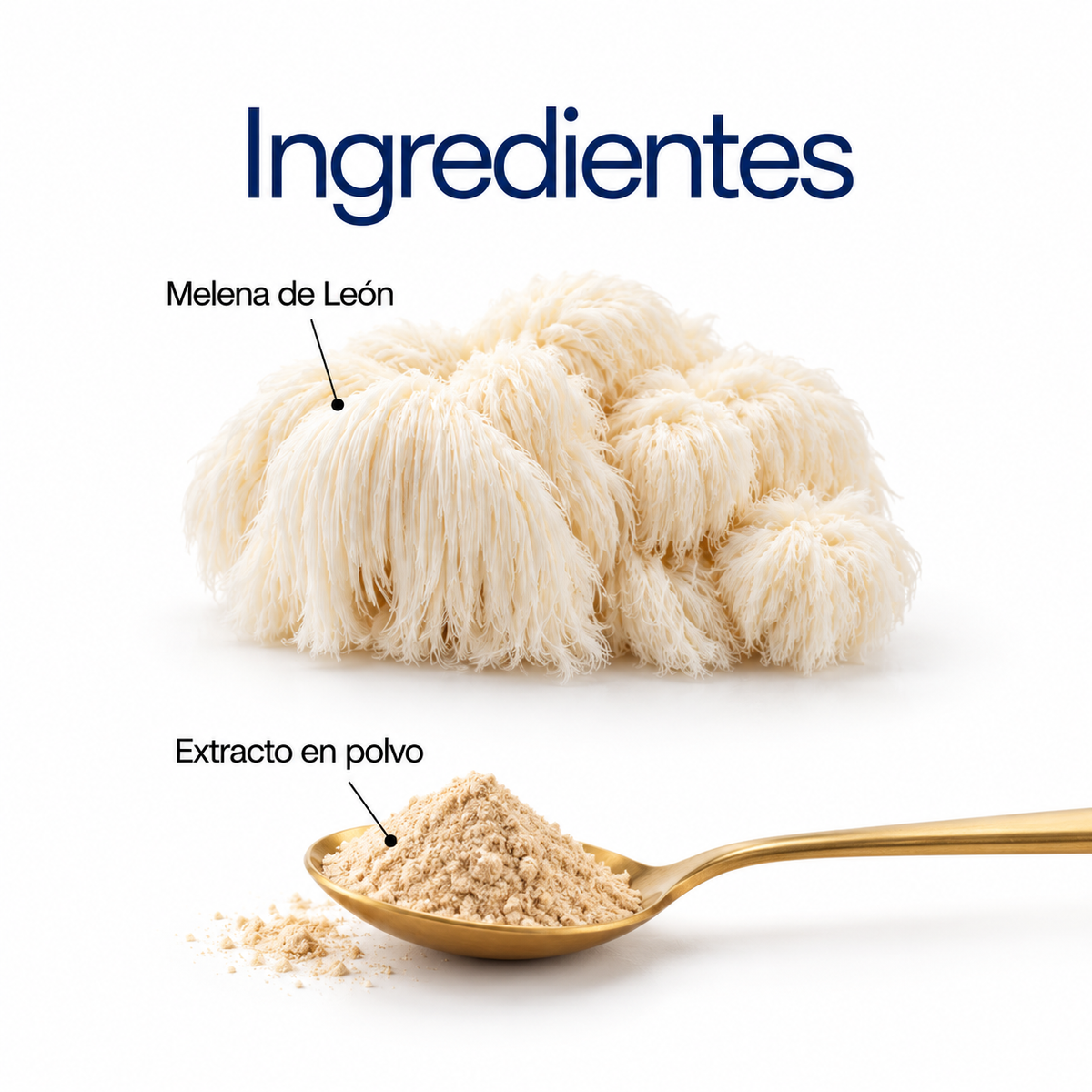 Melena de León: extracto en polvo 100 g o 60 cápsulas
