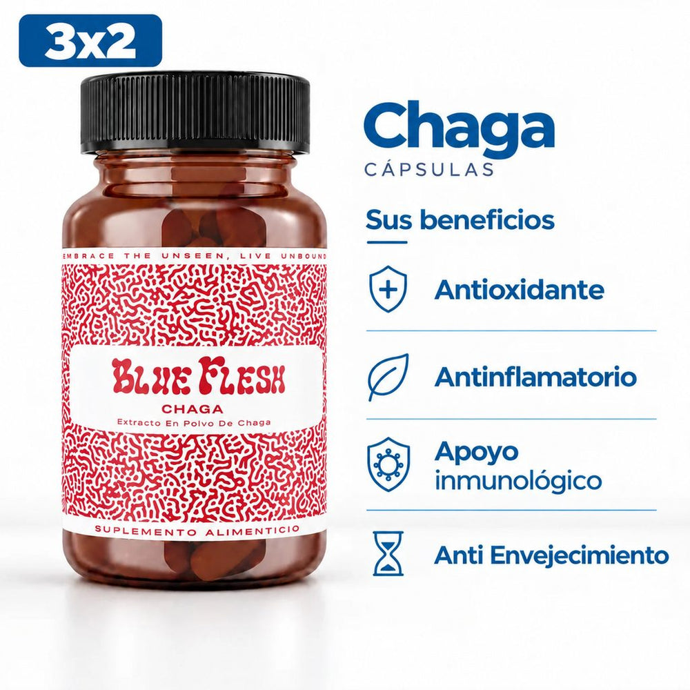 Chaga Blue Flesh, suplemento alimenticio