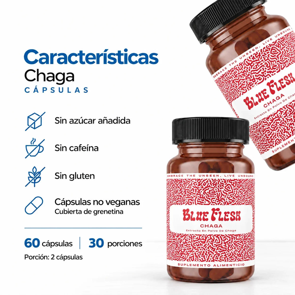 Chaga: extracto en polvo 100 g o 60 cápsulas