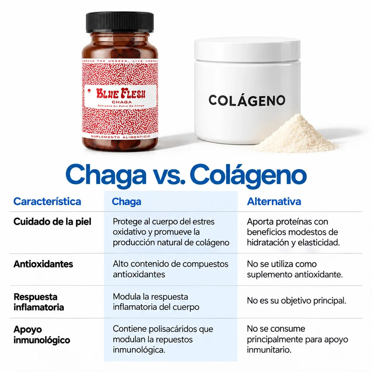 Chaga: extracto en polvo 100 g o 60 cápsulas
