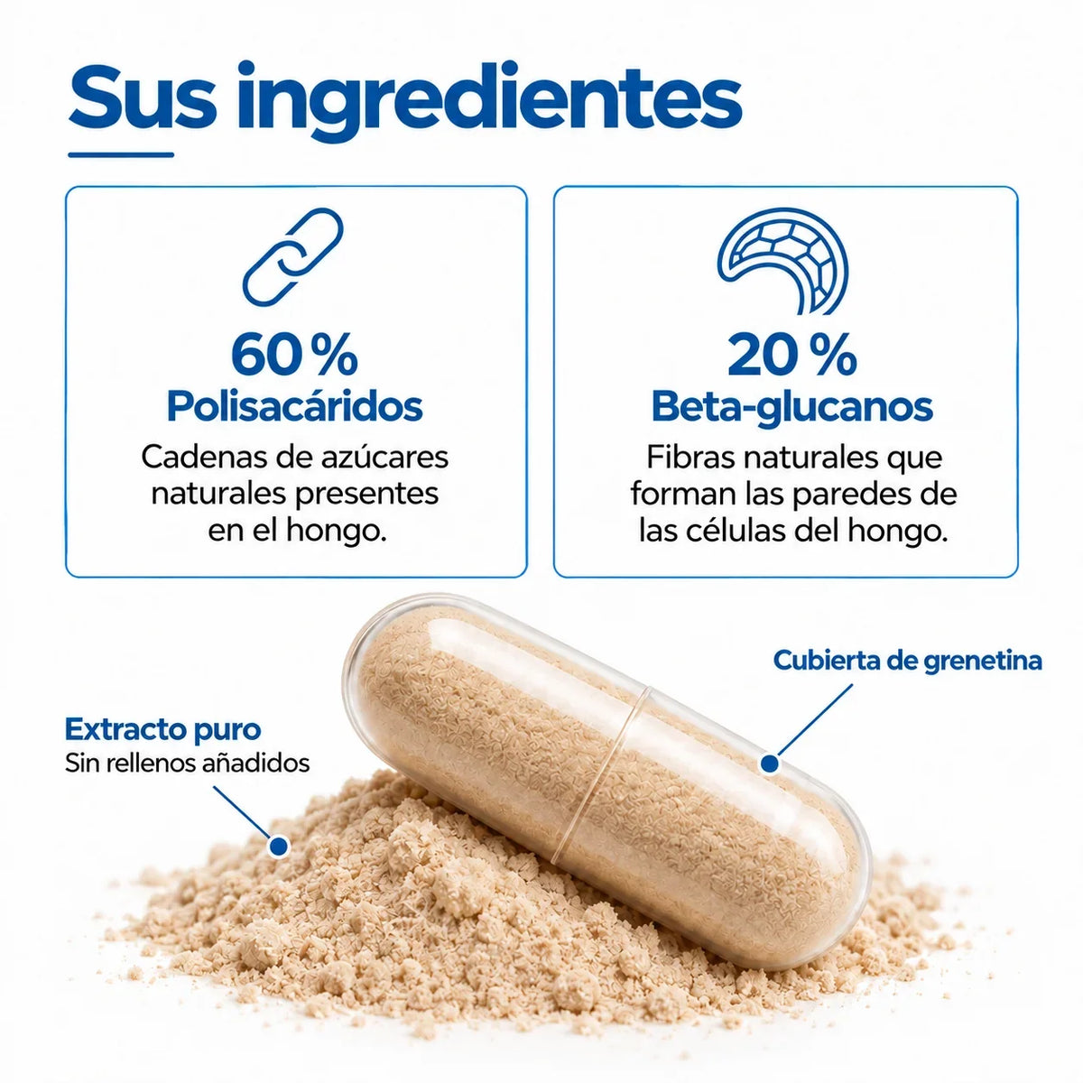 Melena de León: extracto en polvo 100 g o 60 cápsulas