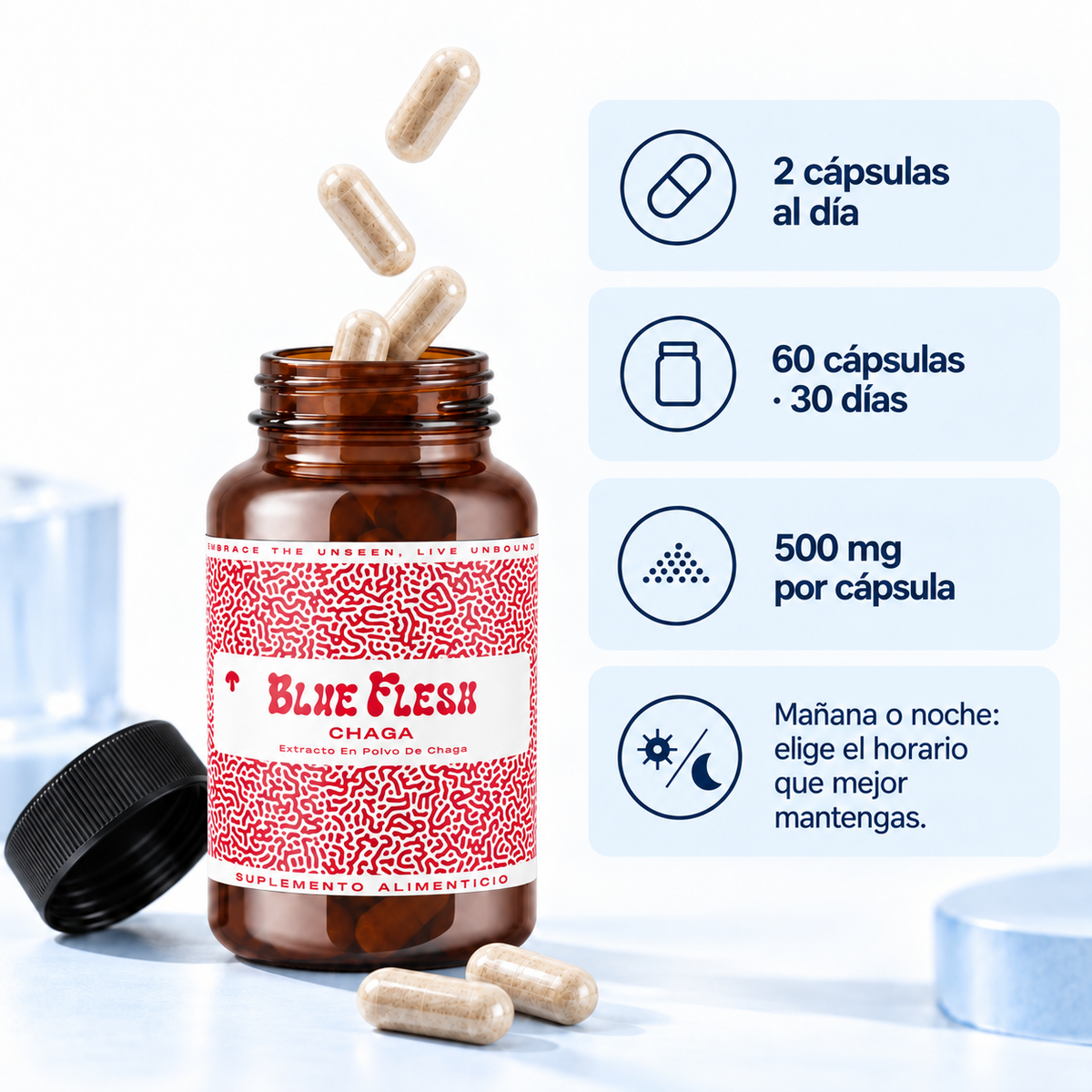 Chaga: extracto en polvo 100 g o 60 cápsulas