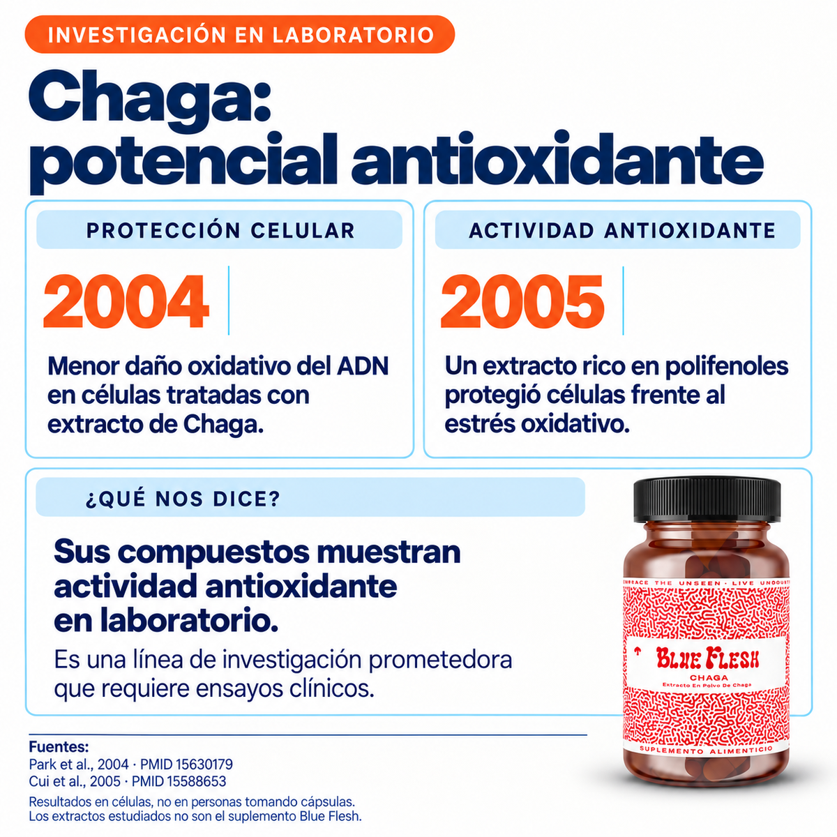 Chaga: extracto en polvo 100 g o 60 cápsulas