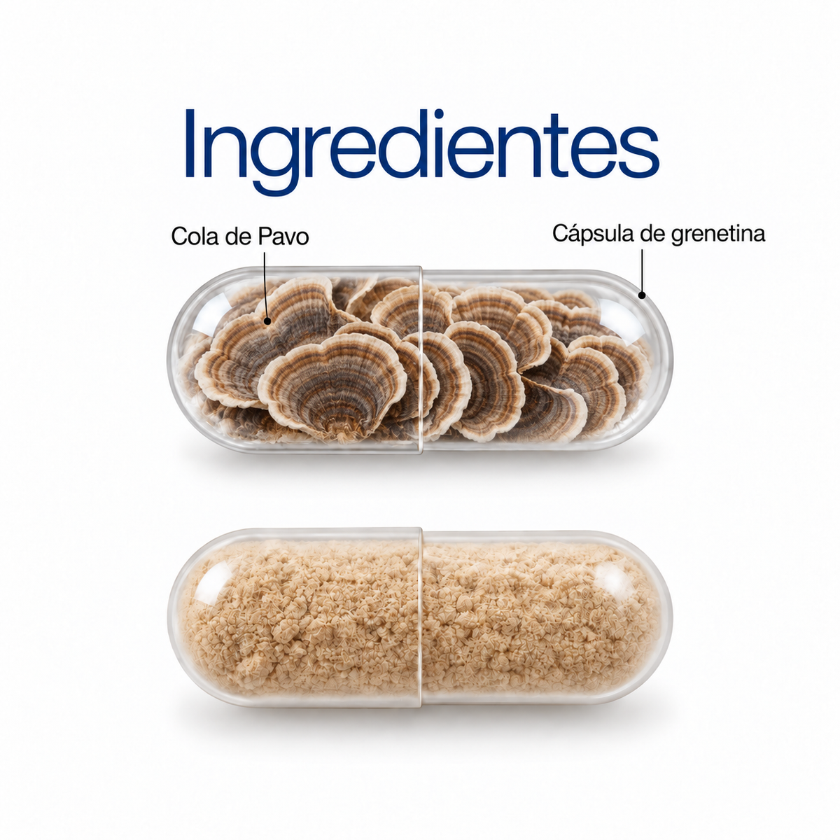Cola de Pavo: extracto en polvo 100 g o 60 cápsulas
